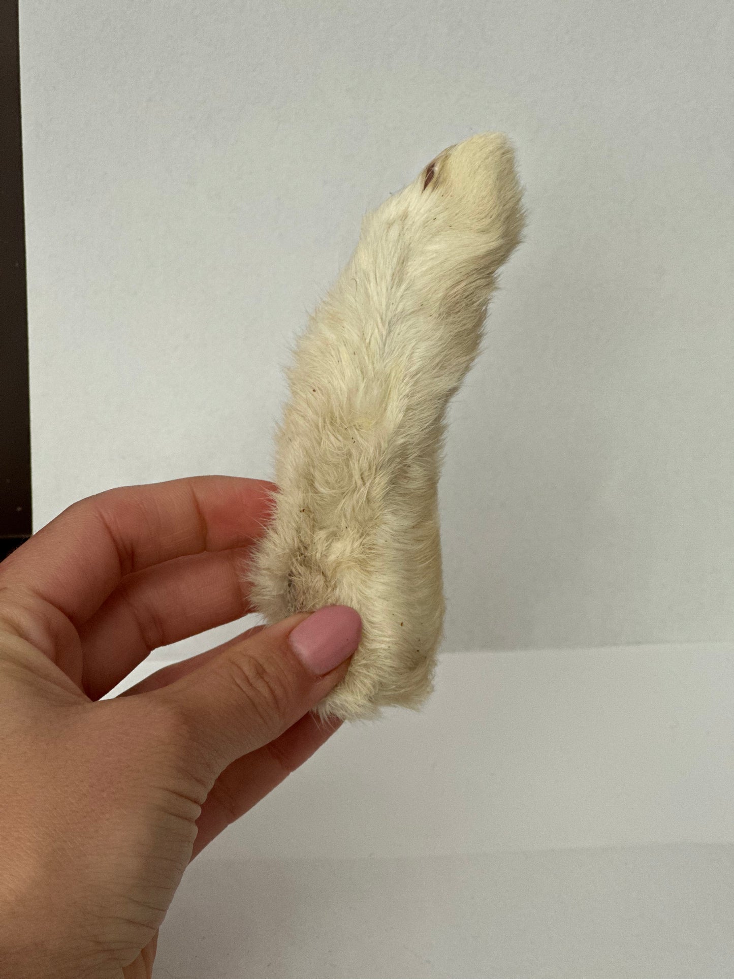 Patitas de conejo